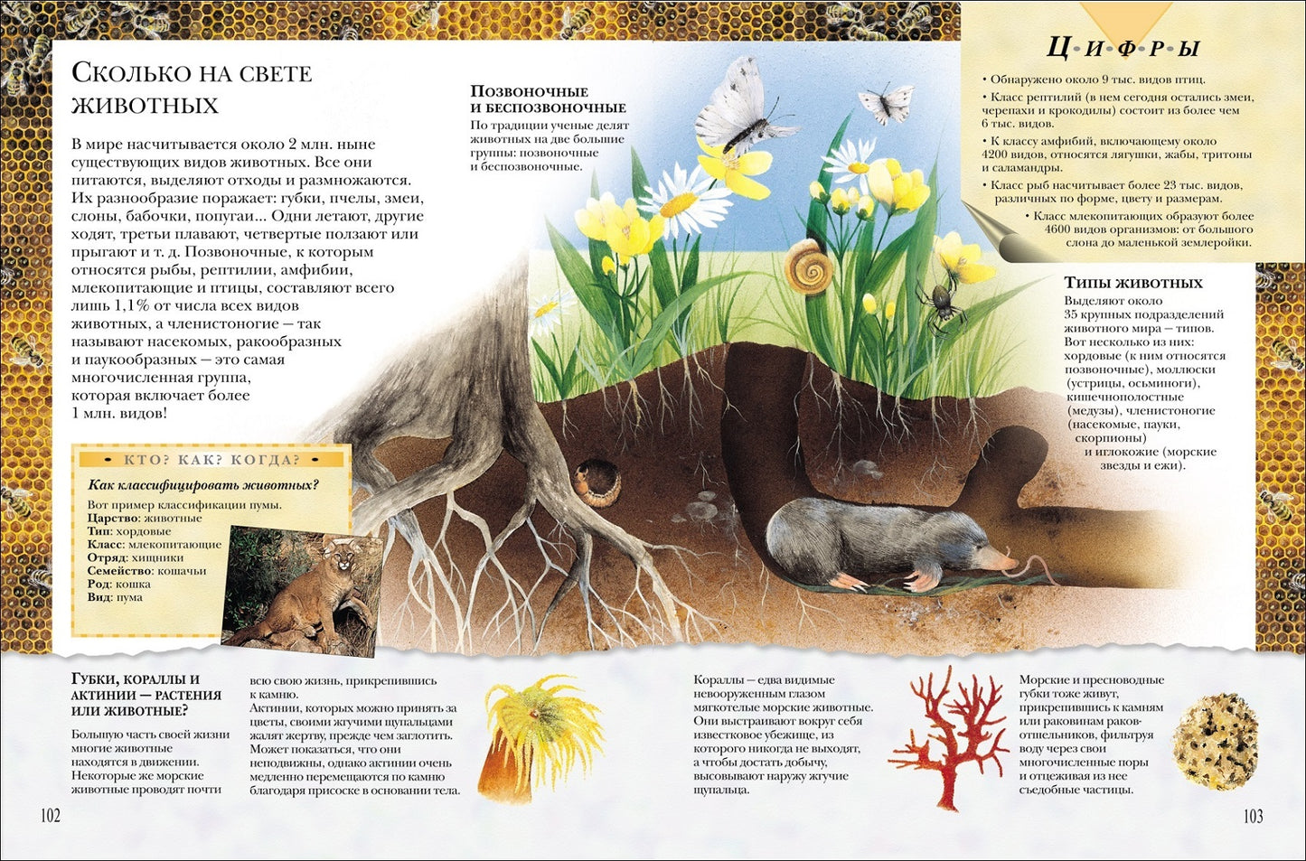 Большая книга 'Почему'