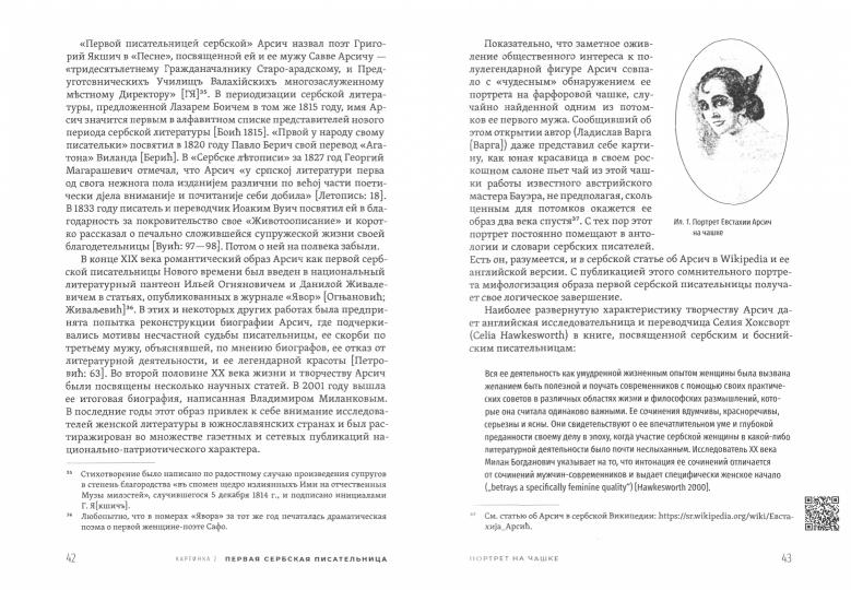 Переводные картинки: Литературный перевод как интерпретация и провокация