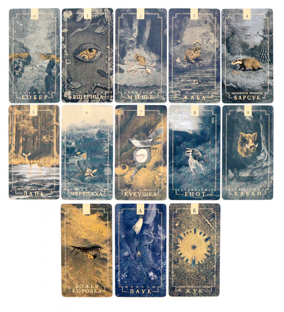Livres spirituels (48 cartes) (5027)