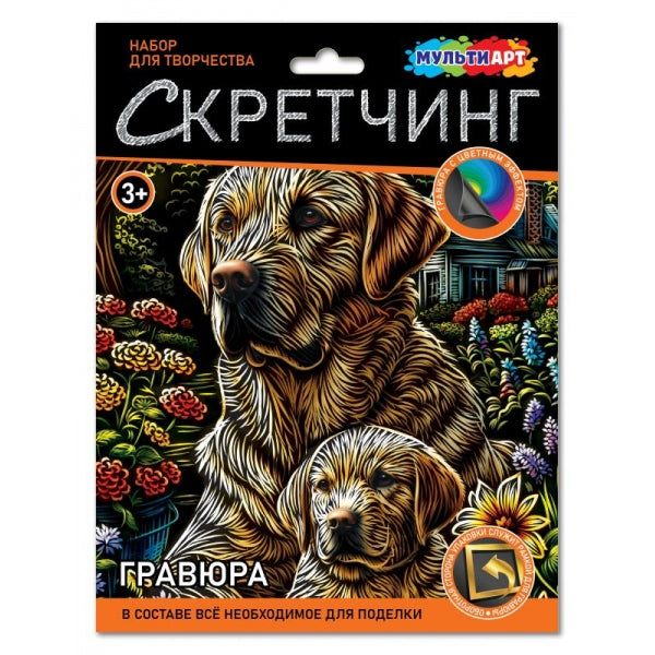 Gravure à gratter 18*24 cm pour laboratoire, МУЛЬТИ АРТ в кор.120шт