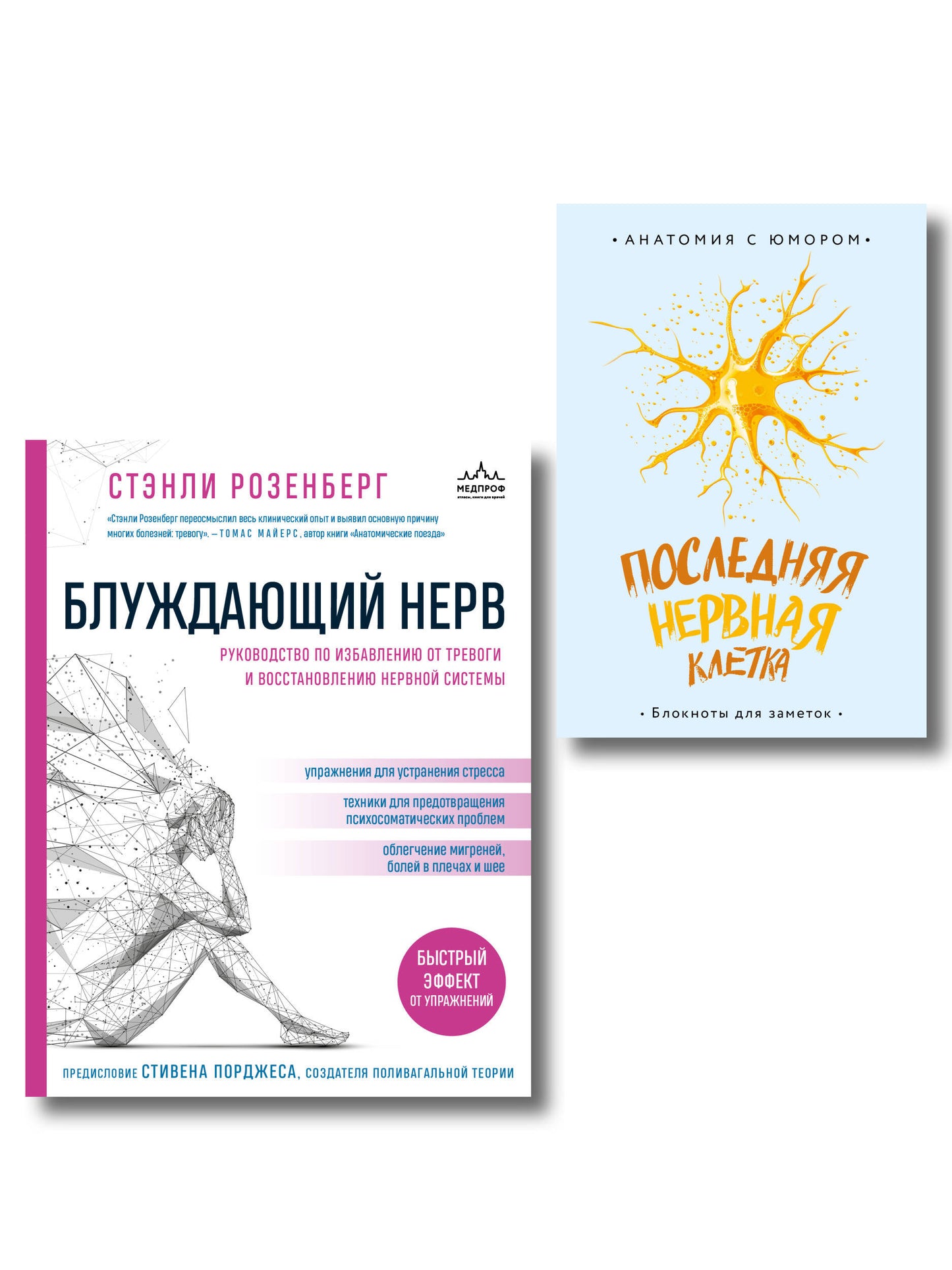 Нервная система под контролем. Комплект из книги и блокнота