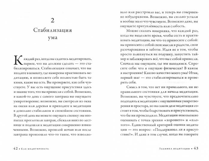 Alors méditez. Подружитесь со своим умом. Практическое руководство