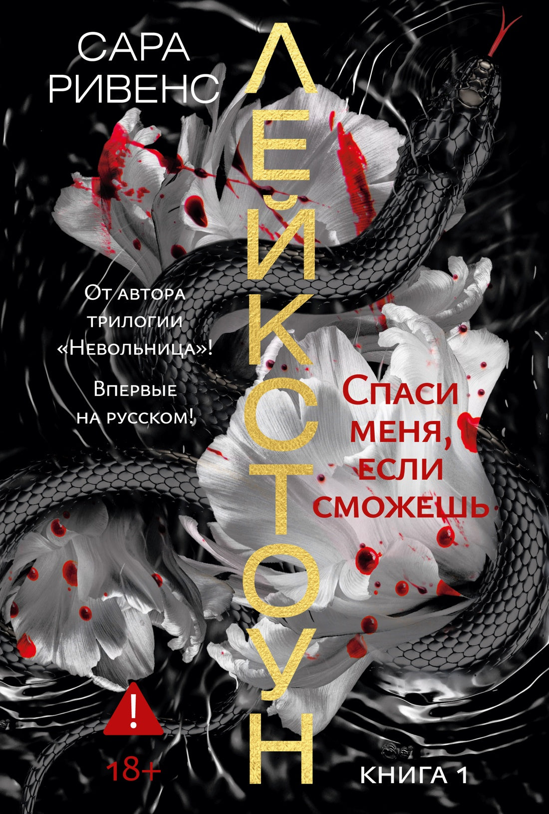 Лейкстоун. Книга 1. Спаси меня, если сможешь