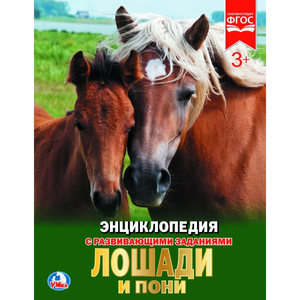 "УМКА". ЛОШАДИ И ПОНИ (ЭНЦИКЛОПЕДИЯ А4 С РАЗВИВАЮЩИМИ ЗАДАНИЯМИ). ТВ. ПЕРЕПЛЕТ. 48 СТР. в кор.15шт