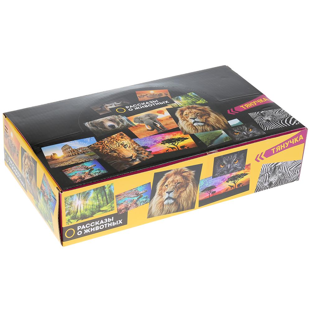 Jeu de plastique en plastique pour jeu de rôle, 20-26 cm, 6 pouces, 48 pouces/disque