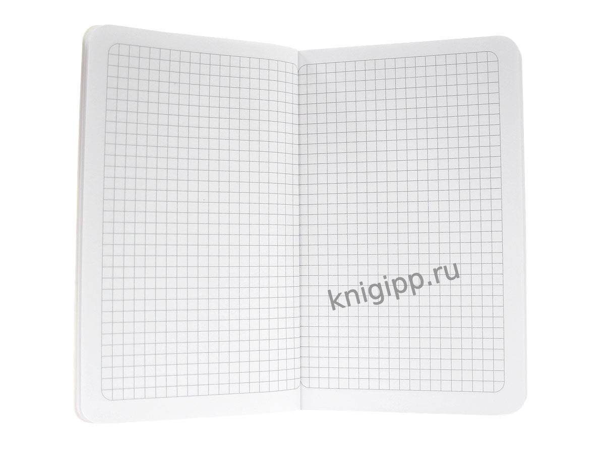 Mon Art. БЛОКНОТ в клетку Дутыши. Les Roms