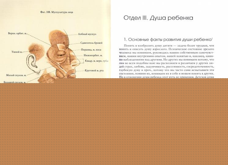 La psychologie et la physiologie