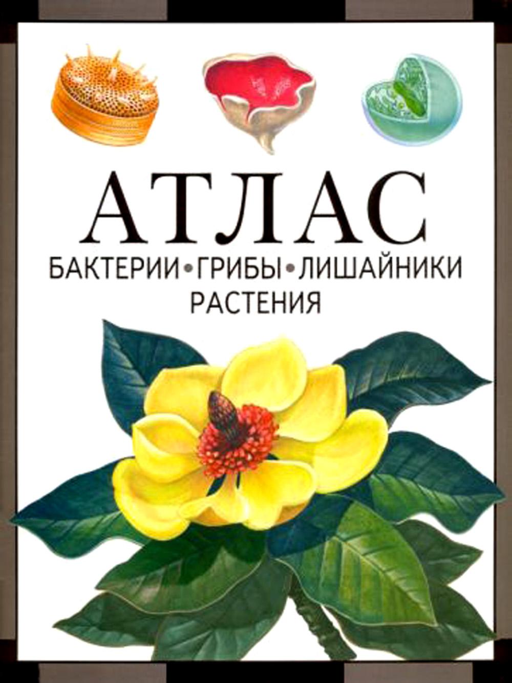 Бактерии, грибы, лишайники, растения: атлас. 4-ème jour