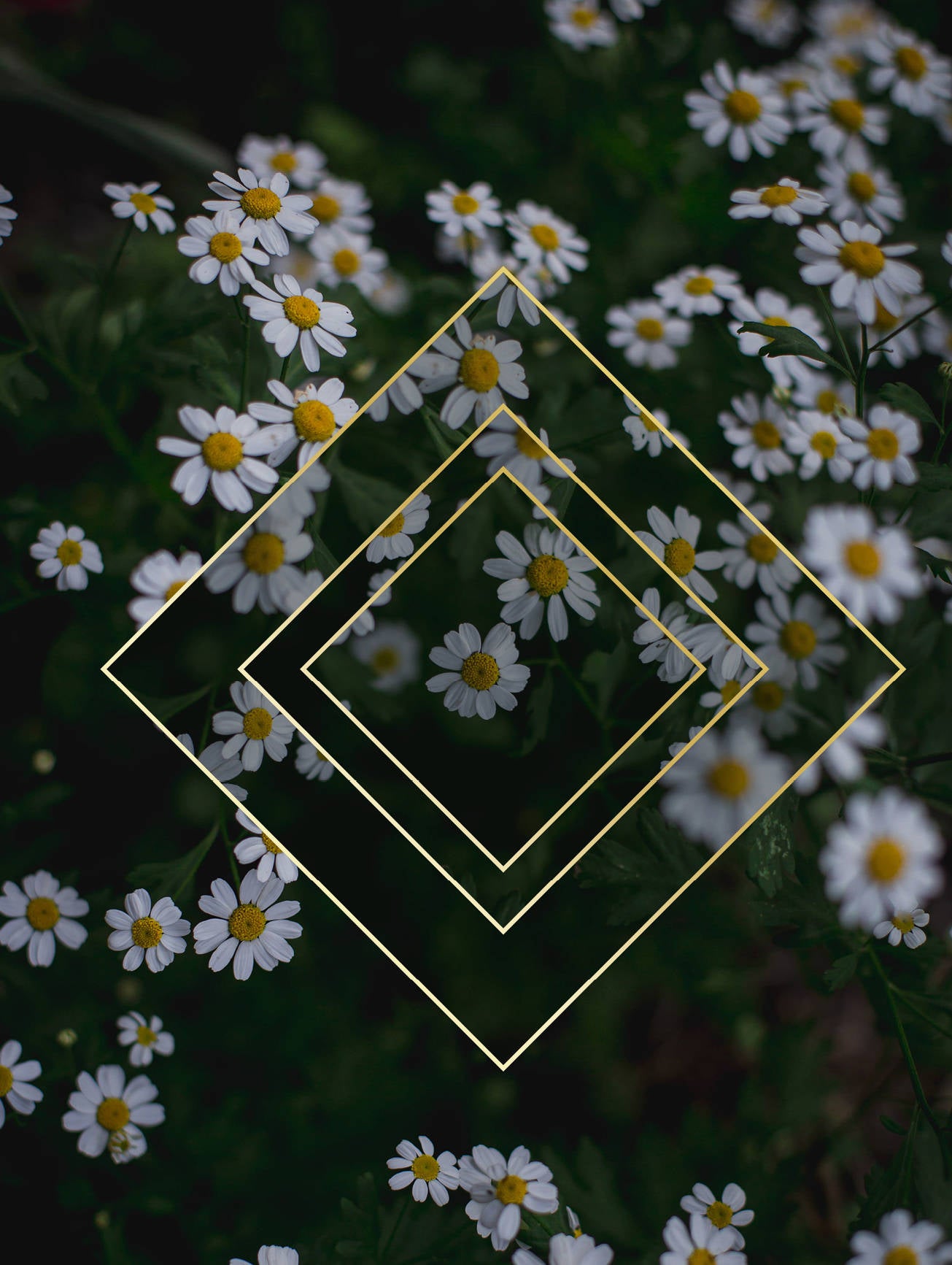 Les Roms. Тетрадь в мягкой пластиковой обложке, А5, 80л.