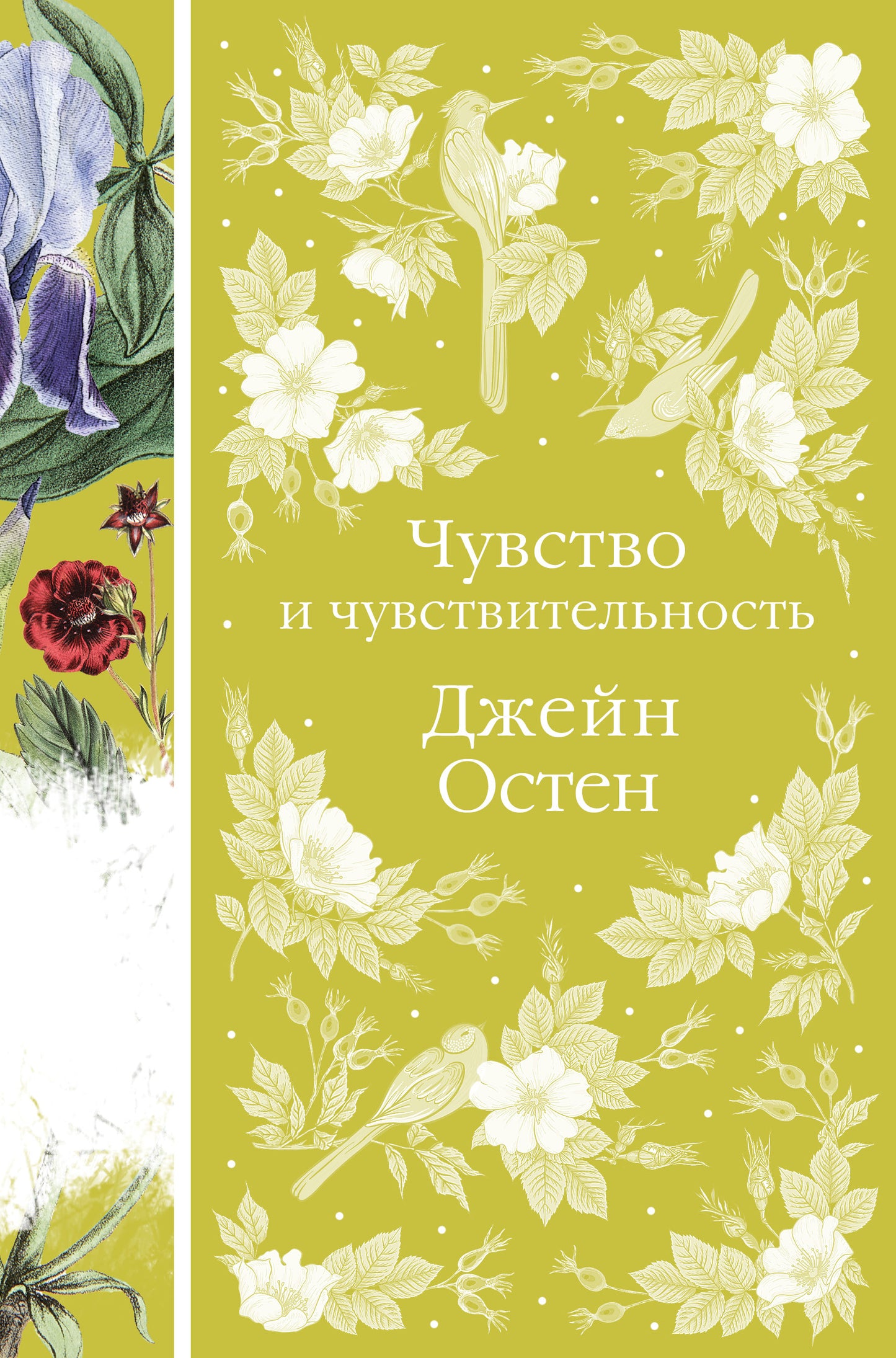 Chuvstvo и чувствительность (книга #17)