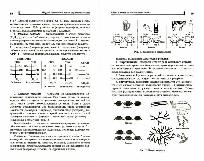 Репетитор по биологии для старшеклассников и поступ.в вузы