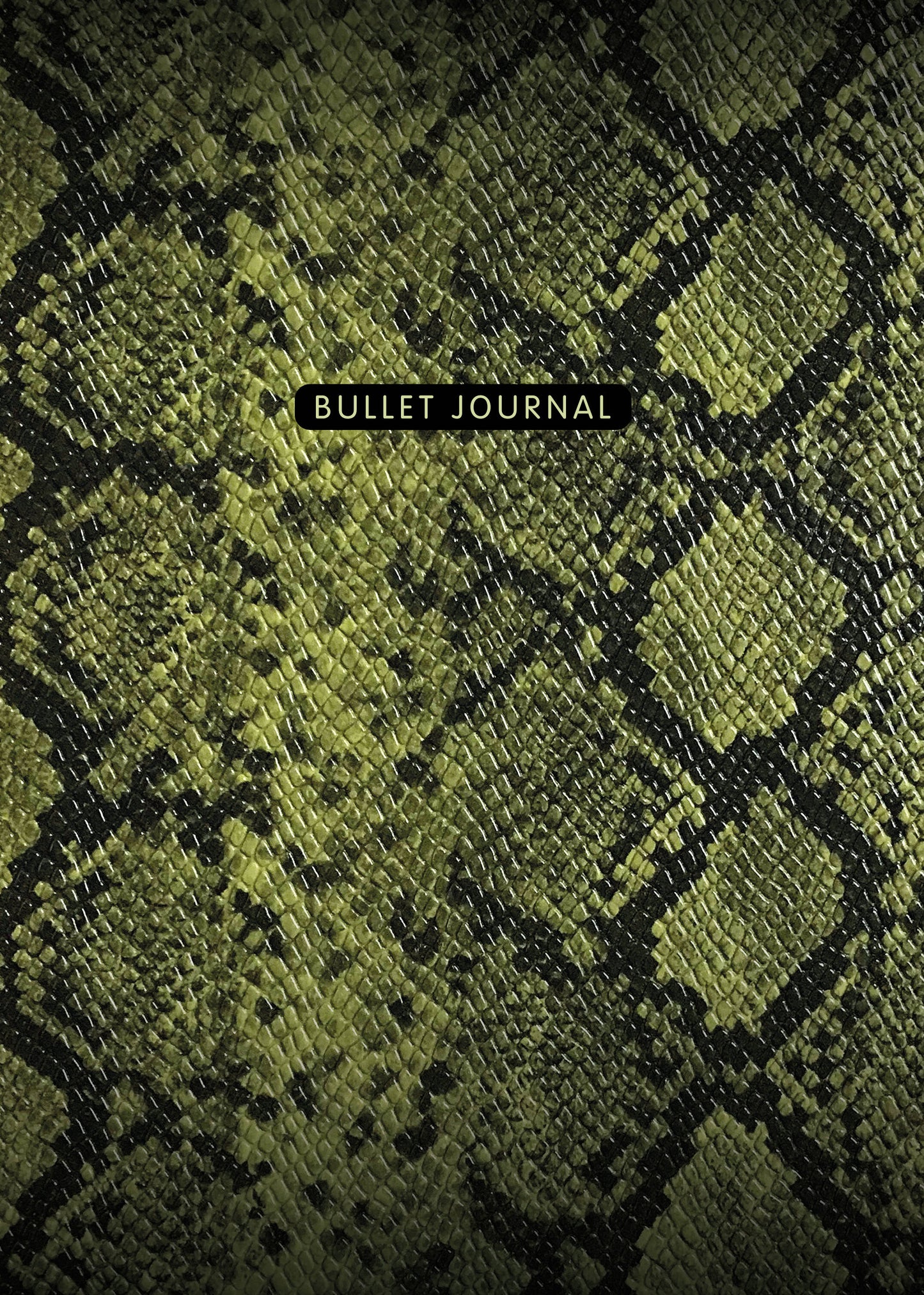 Bloc-notes pour votre travail : Bullet Journal (змея, 120 c., пружина)