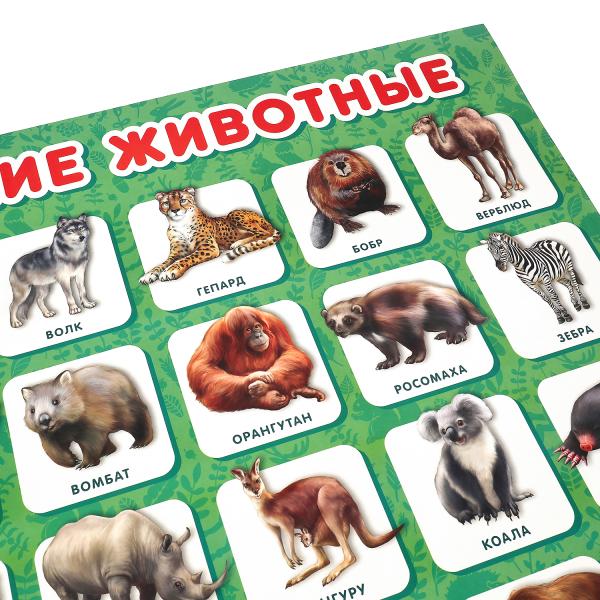 Дикие животные. Plaque A2. Умка уп-10шт в кор.5уп