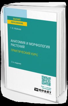 АНАТОМИЯ И МОРФОЛОГИЯ РАСТЕНИЙ. ПРАКТИЧЕСКИЙ КУРС 2-е изд., пер. je suis d'accord. Учебное пособие для вузов