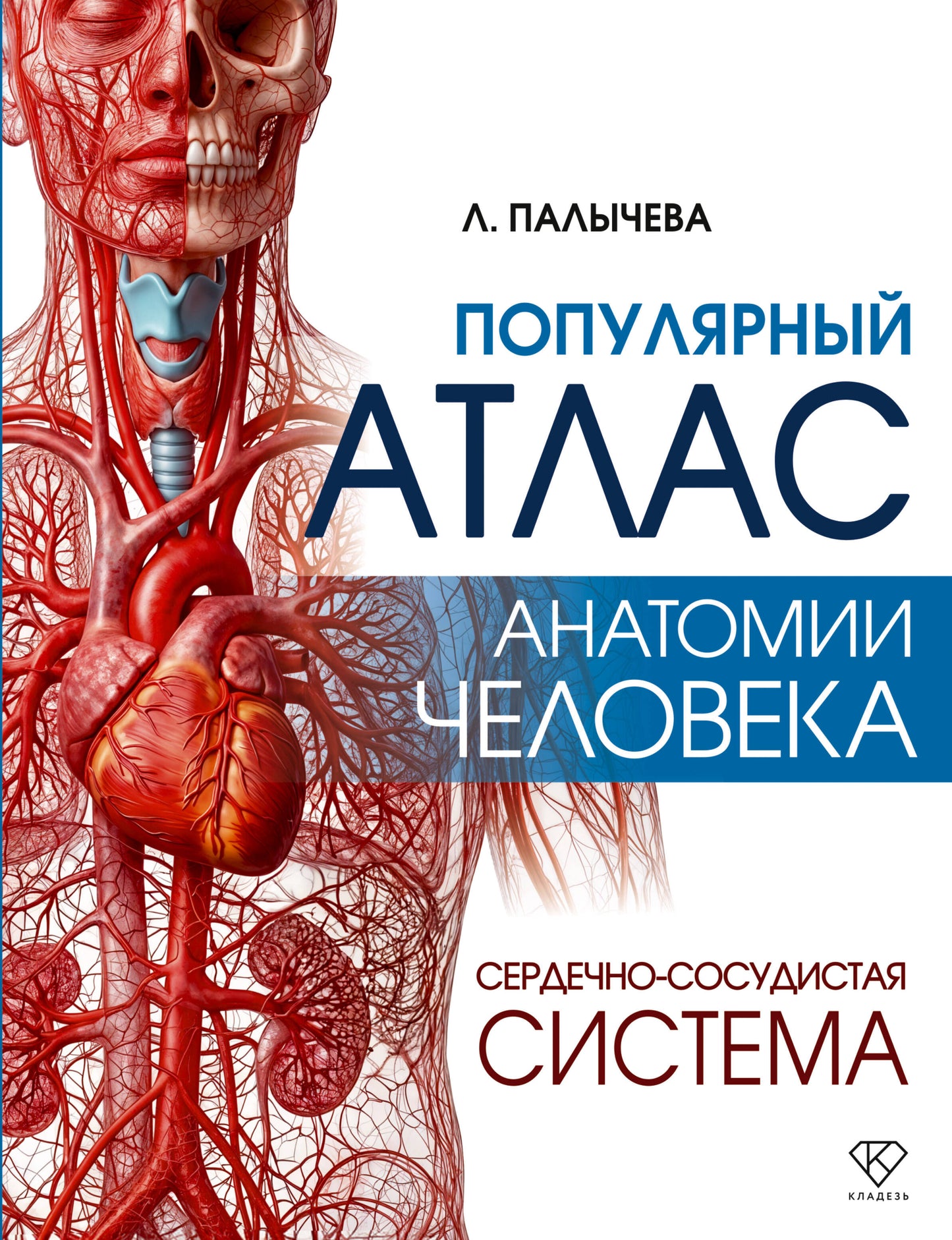 Популярный атлас анатомии человека. Сердечно-сосудистая система