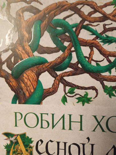 C'est un soldat. Книга 2. Лесной маг