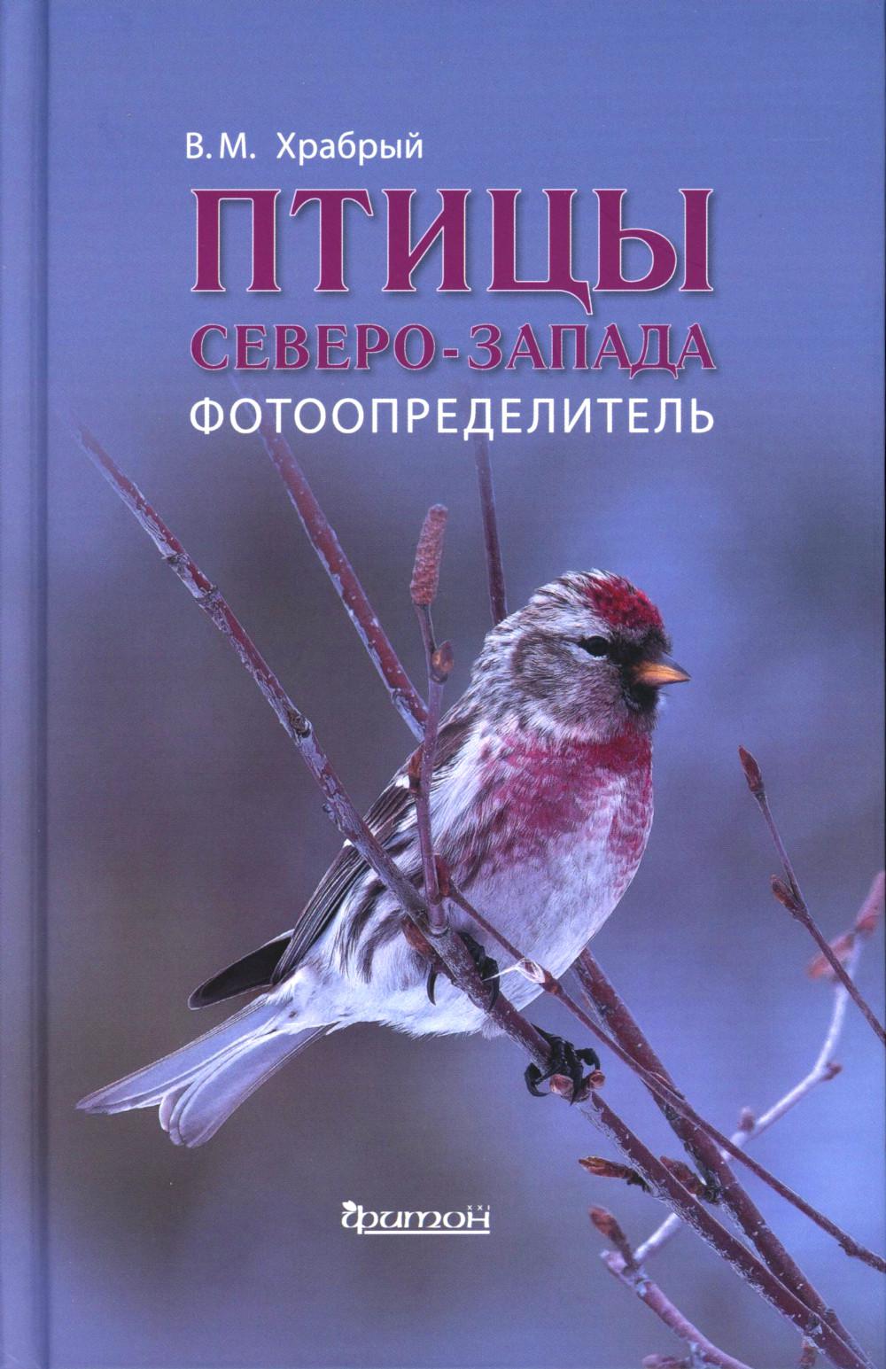 Птицы Северо - Запада. Photographie