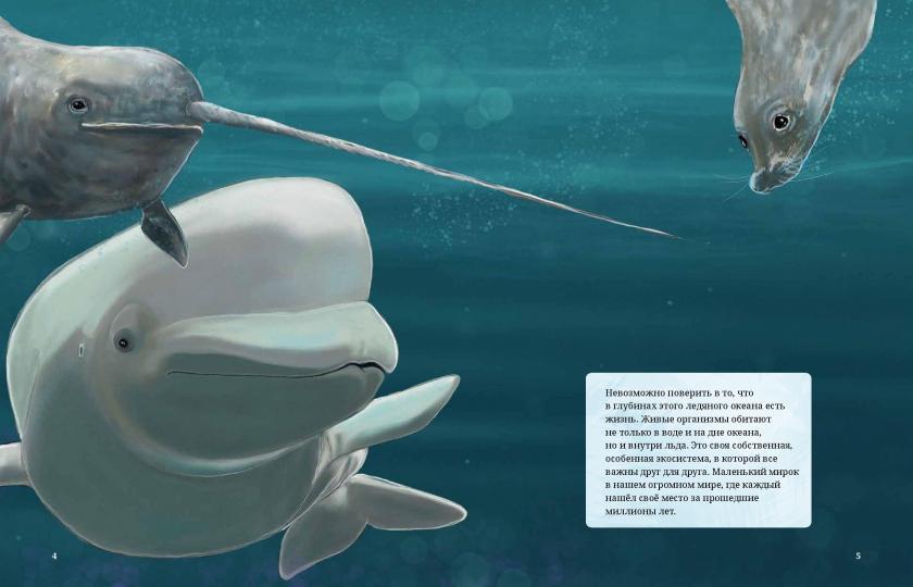 Загадки и трагедии Арктики.