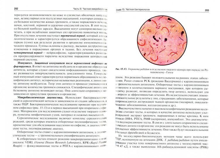 Медицинская микробиология, вирусология и иммунология : учебник : в 2 т. / под ред. В. В. Зверева, М. Н. Бойченко. — 2-е изд., перераб. и доп. — Москва : ГЭОТАР-Медиа, 2021. — Т. 2. — 472 с. : ил.