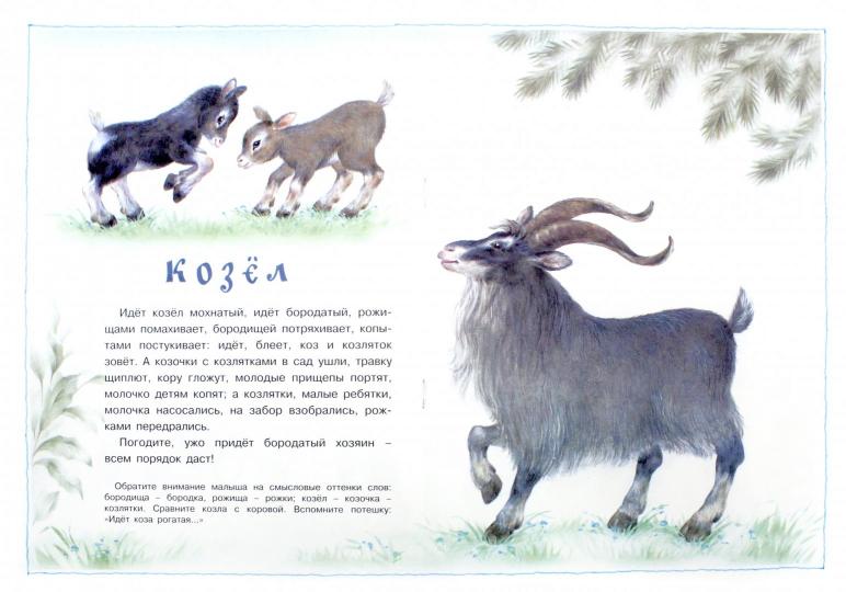 Pour les plus petits. Жили у бабули (pour les enfants de 2 à 4 lettres)