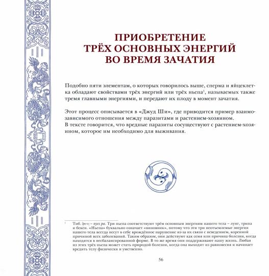 Тибетская Буддийская Эмбриология (практическое руководсьво).