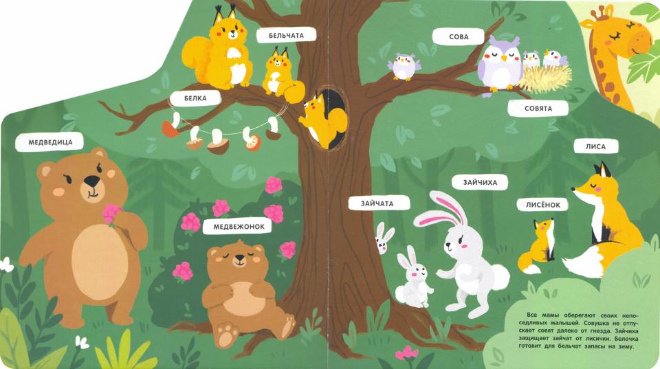 Les fichiers sur la carte sont à votre disposition. Mamans et petites filles