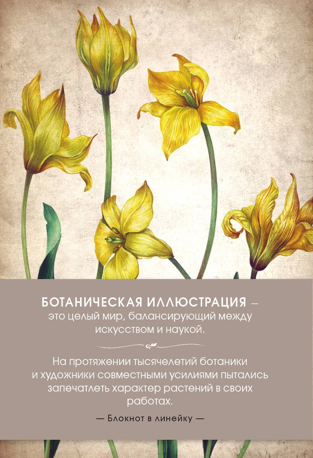 Blocage. Illustration botanique (зеленый)