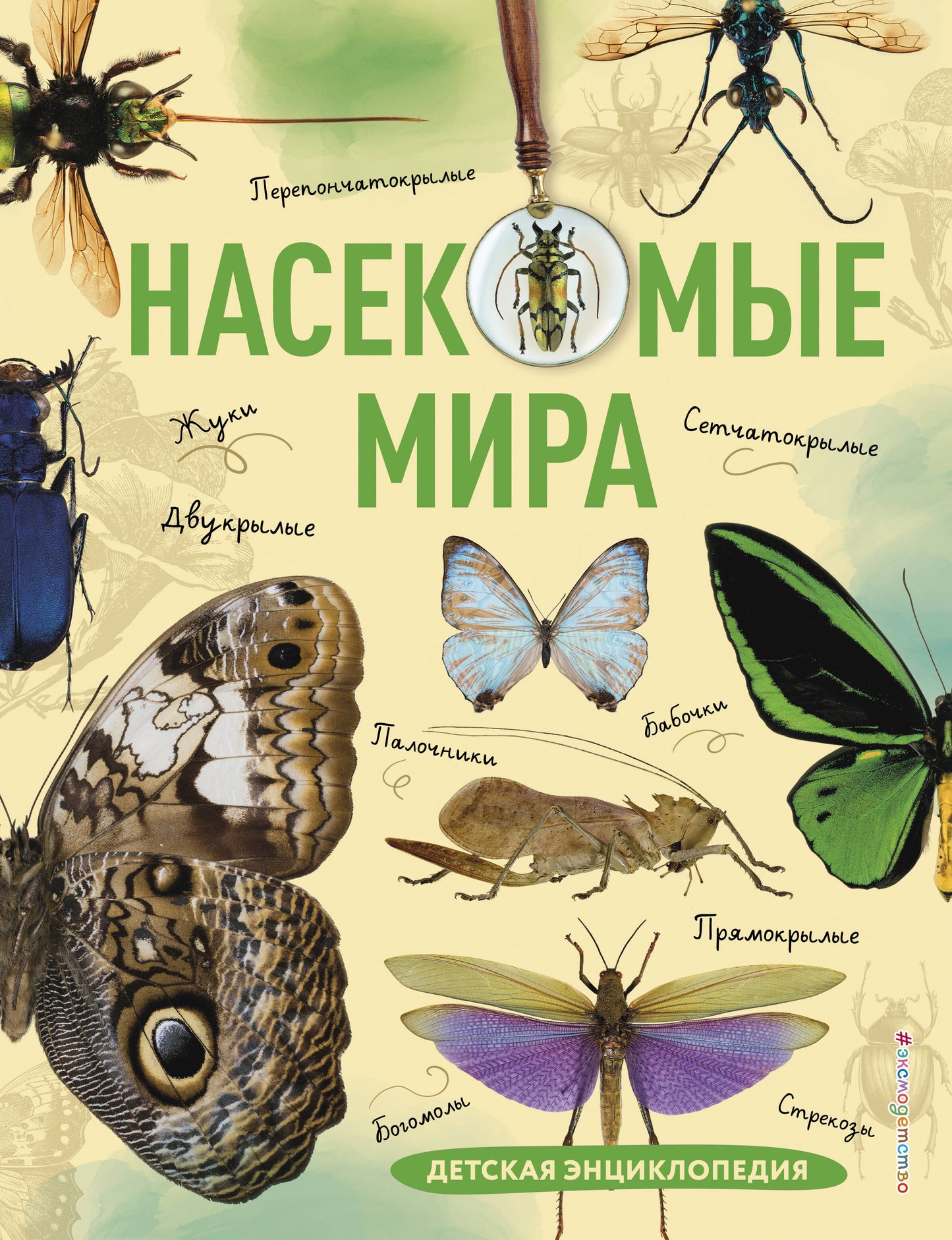 Насекомые мира. Детская энциклопедия