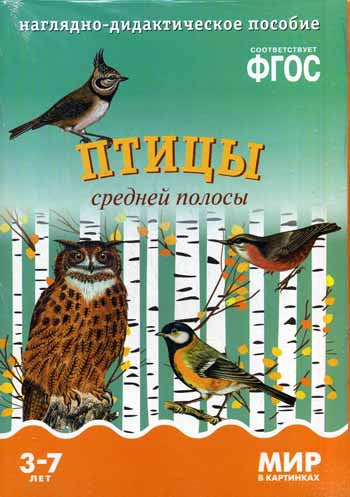 Je suis dans les cartes. Птицы средней полосы. Utilisation très précise du papier