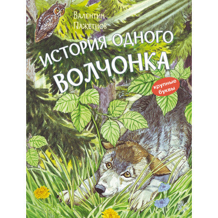 КК История одного волчонка. Rasskaz