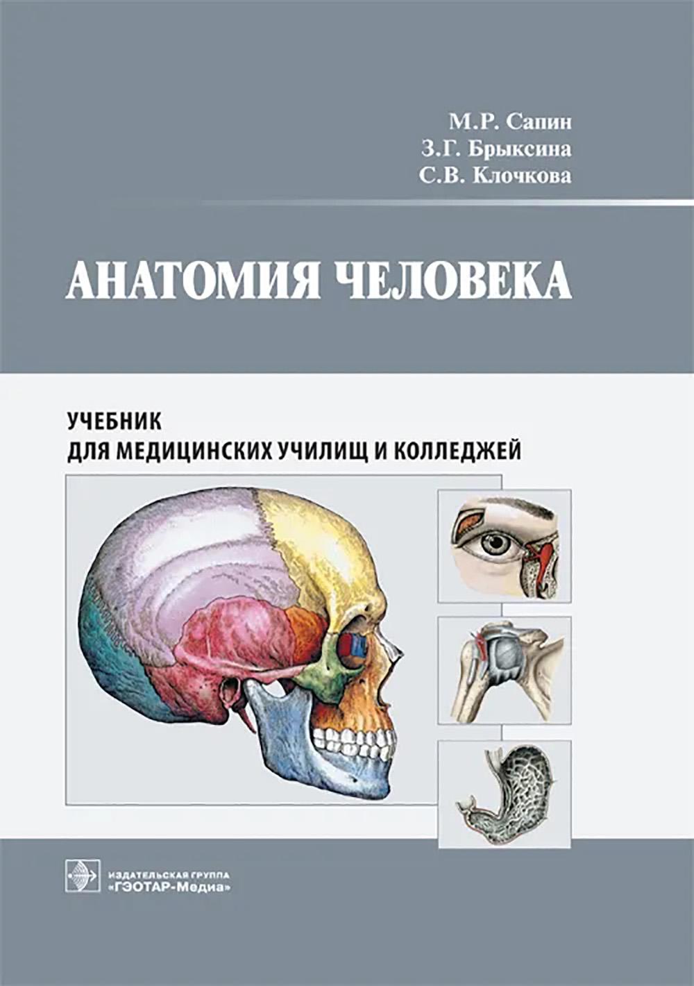 Анатомия человека : учебник для медицинских училищ и колледжей / М. Р. Сапин, З. Г. Брыксина, С. В. Клочкова. — Москва : ГЭОТАР-Медиа, 2025. – 432 с. : ил.