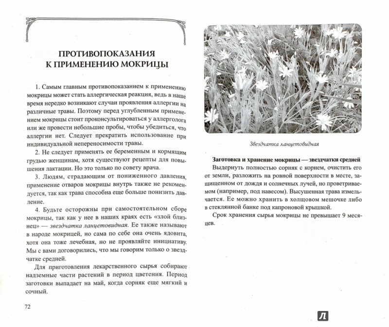 Сныть и мокрица. Мифы и реальность