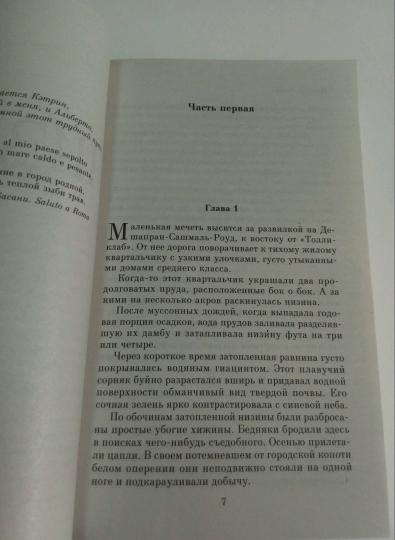Низина