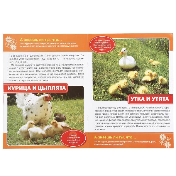 "УМКА". МАМЫ И МАЛЫШИ (ЭНЦИКЛОПЕДИЯ А4) ФОРМАТ: 214Х290ММ, ОБЪЕМ: 16 СТР. (4+4), ОБЛ. 4+5 в кор.50шт