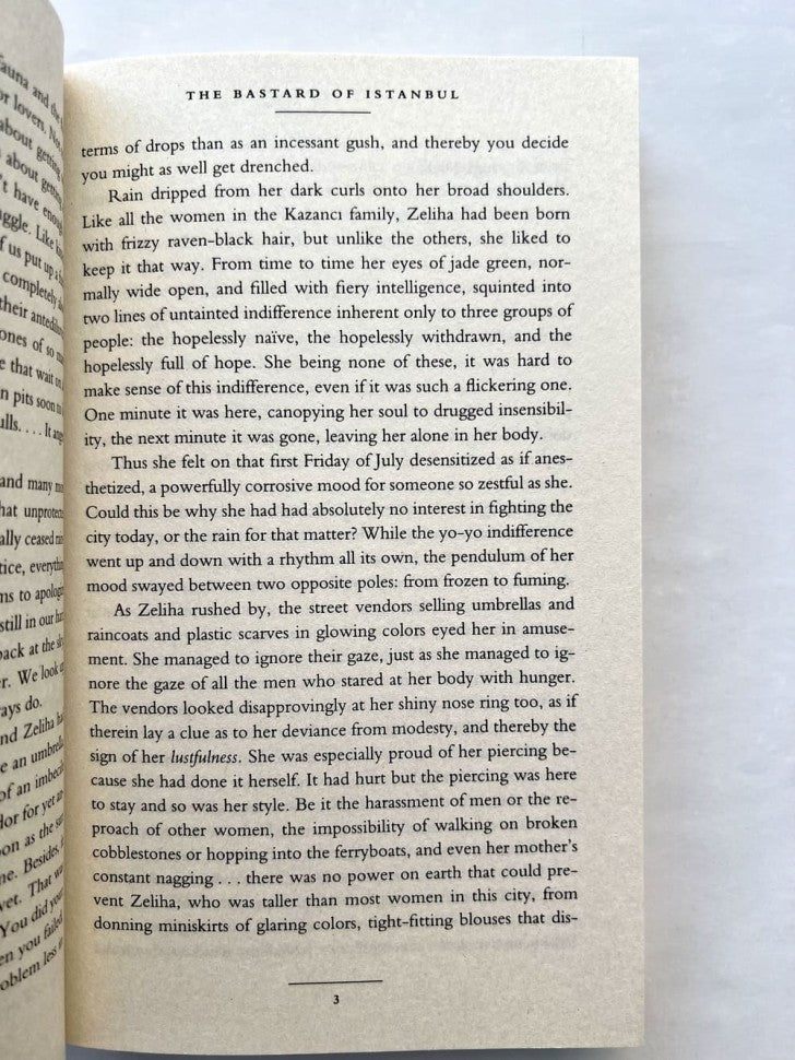 The Bastard of Istanbul (Стамбульский бастард)