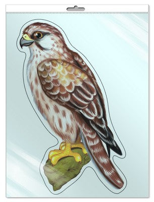 *ФМ-9159 ПЛАКАТ ВЫРУБНОЙ А4 В ПАКЕТЕ. Сокол (с блестками в индивидивидуальной упаковке с европодвесом и клеевым клапаном)
