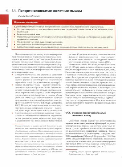 Мышцы в спорте. Anatomie. Физиология.Тренировки. Réabilité. Под ред. Калашникова Д.Г.