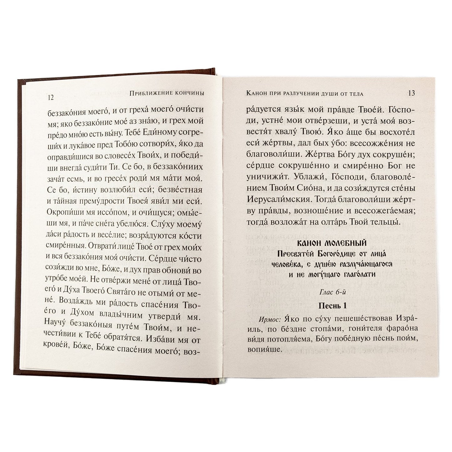 Псалтирь чтомая по усопшим. Canons, molitves, litties et paniches