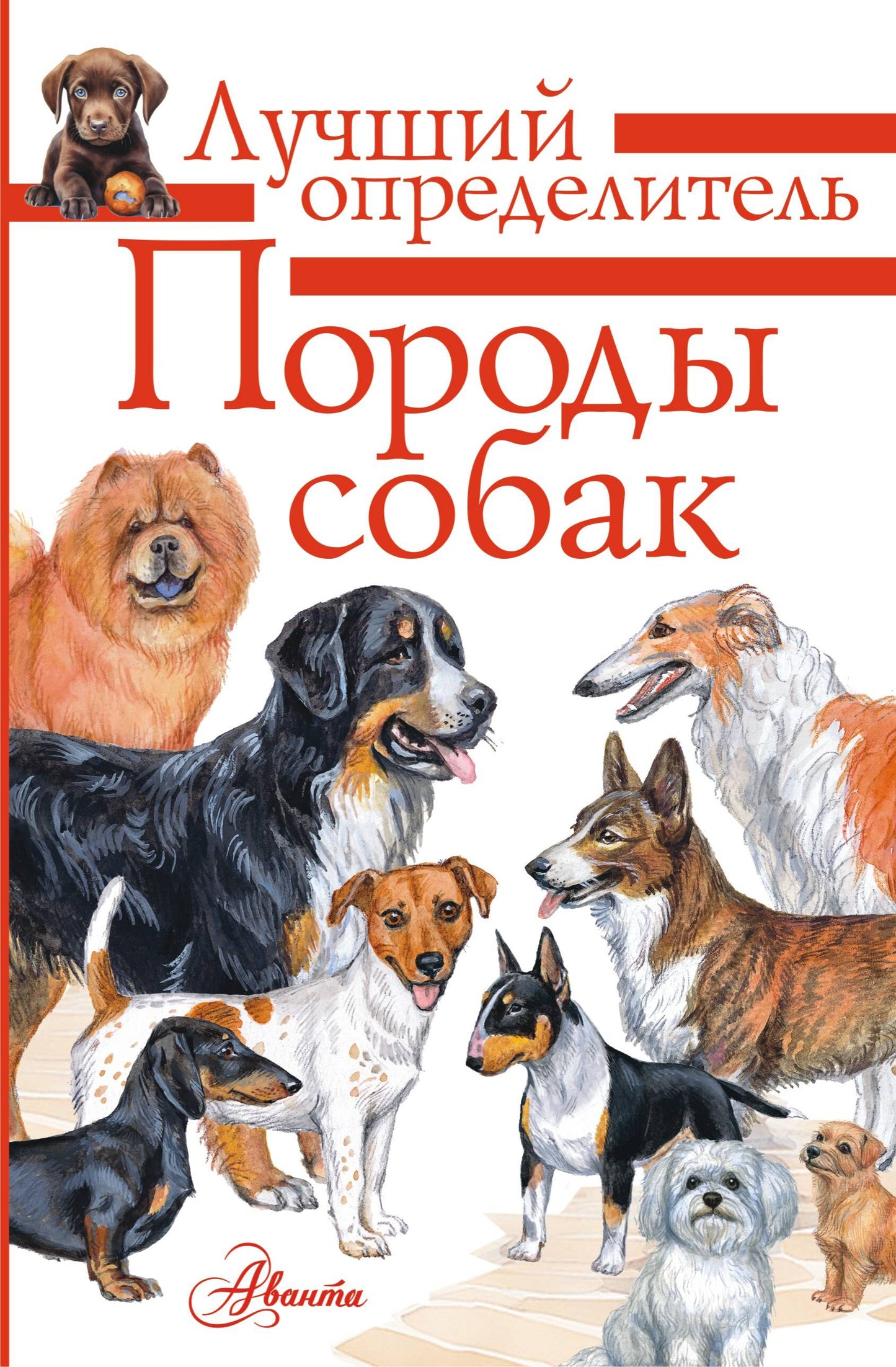 Породы собак. Определитель