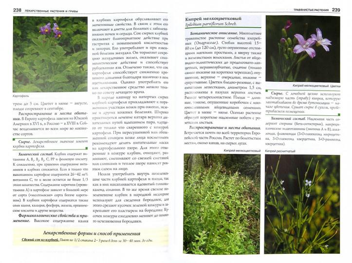 Полный атлас-определитель: Лек. растения и грибы