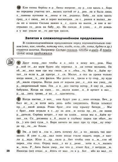 РТ Русский язык. Шаг за шагом. Пунктуация. 5–6 классы. Рабочая тетрадь. /Узорова.