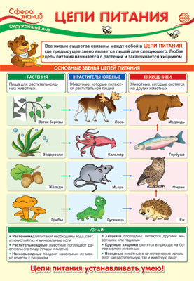 ПО-13974 Plaque A3. Окружающий мир в начальной школе. Цепи питания