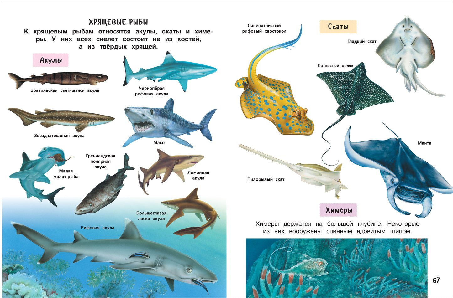 Лучшая энциклопедия для детей