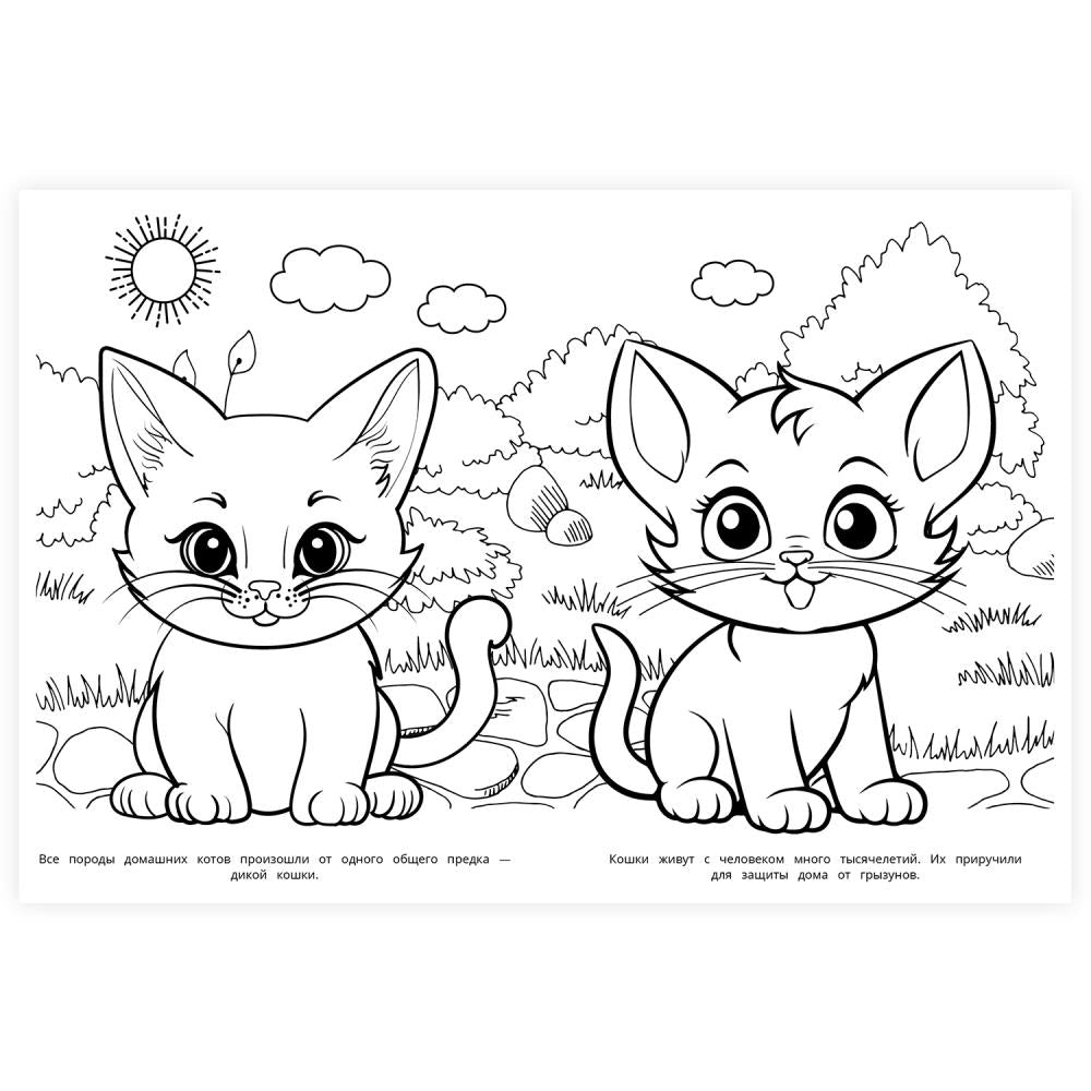 Котики. Раскраска. 214х290 мм. Скрепка. 16 стр. Умка в кор.50шт
