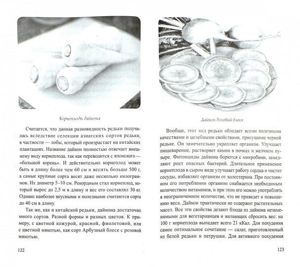 Редька. Мифы и реальность