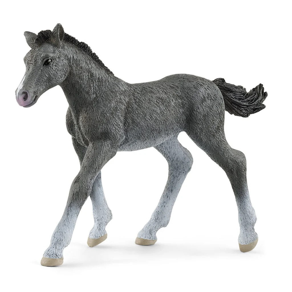 Schleich. Figurine art.13944 "Тракененский жеребенок"