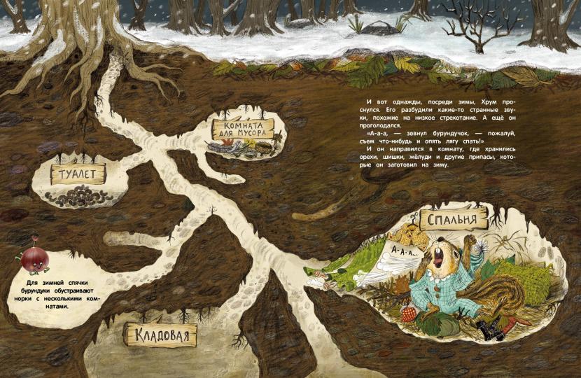 Детская книга "Кто украл орехи?". Détectives pour enfants