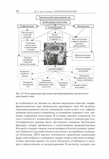 Антропоэкология: учебное пособие