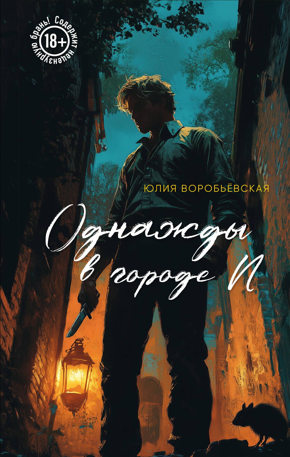 Однажды в городе N