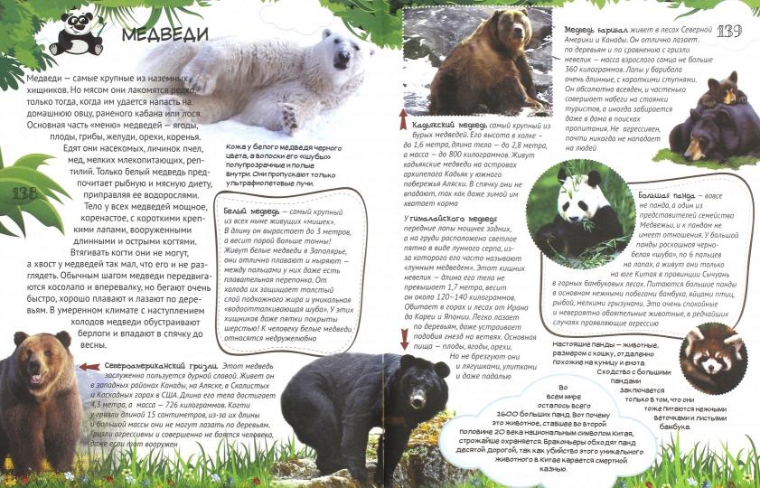 Grande école d'enseignement supérieur - ХОЧУ ВСЕ ЗНАТЬ! Энциклопедия младшего школьника